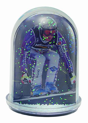 Snowdome Photo Insert Large