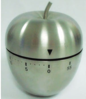 Stainless Steel Timer 