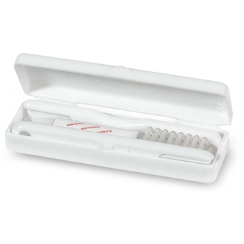 Toothbrush set in case