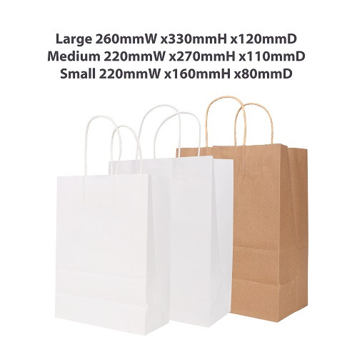 Twisted Handle Kraft Paper Bag (220x270x110mm) 
