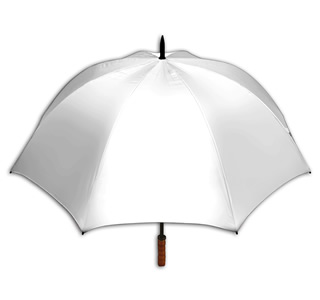 Virginia Silver Umbrella