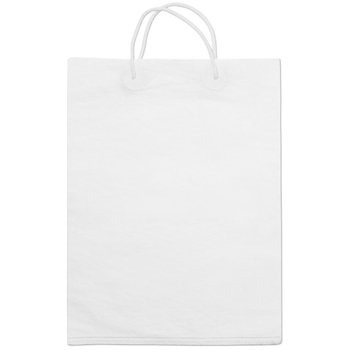 White paper shopping bag