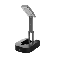 30-Piece Tool Kit with Light 