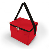 4.5L PVC Cooler Bag 