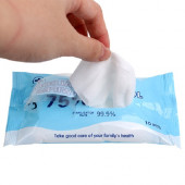 75% Alcohol Wet Wipes (10pcs) 