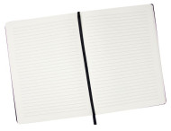 City Notebook with Elastic 