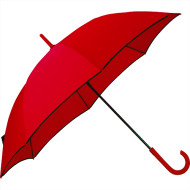 Auto Open Colorized Fashion Umbrella 