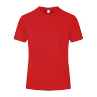 Basic Tee 