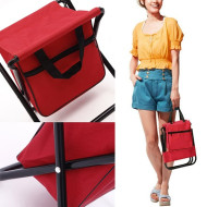 Foldable Camping Chair with Insulated Bag 