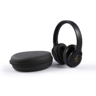 Equinox ANC Headphones in Case 