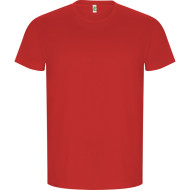 Aszard Golden T-Shirt for Men 