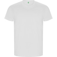 Aszard Golden T-Shirt for Men 