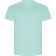 Aszard Golden T-Shirt for Men 