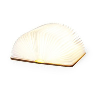 Joneson Lamp in the Shape of an Open Book