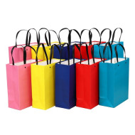 Knitted Handle Bag with Lamination (220 x 270 x 100mm) 