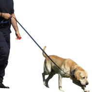 PET Training Clicker 