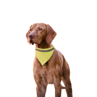 Pet Reflective Collar Bandana 