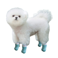Pet Socks 