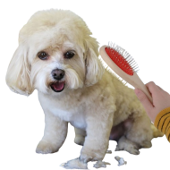 Pin and Bristle Pet Brush 