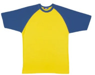 Raglan Sleeve T-shirts 