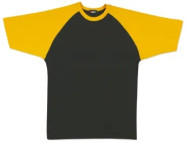Raglan Sleeve T-shirts 