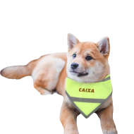 Reflective Dog Bandana 