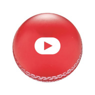 Squeeze Cricket Ball