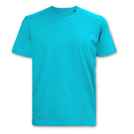 TRENDSWEAR Original Mens T-Shirt 