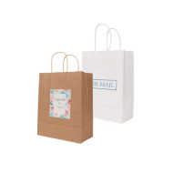 Twisted Handle Kraft Paper Bag (220x270x110mm)