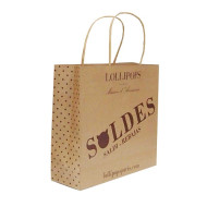 Twisted Handle Kraft Paper Bag (220x270x110mm) 