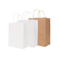Twisted Handle Kraft Paper Bag (220x270x110mm) 