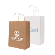 Twisted Handle Kraft Paper Bag (260x330x120mm)