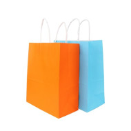 Twisted Handle Kraft Paper Bag (260x330x120mm) 