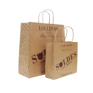Twisted Handle Kraft Paper Bag (260x330x120mm) 