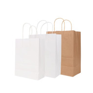 Twisted Handle Kraft Paper Bag (260x330x120mm) 