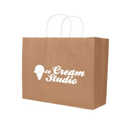 Twisted Handle Kraft Paper Bag (320 x 250 x 120mm)