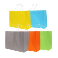 Twisted Handle Kraft Paper Bag (320 x 250 x 120mm) 