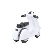 Vespak Model Motorbike 