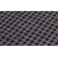 Xerxes Picnic Blanket with Strap 