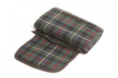 Adventure Picnic Rug