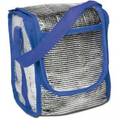 Cooler bag aluminium