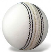 Autograph Cricket Ball 