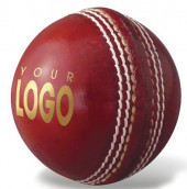 Autograph Cricket Ball 