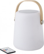 Bambi Plastic LED Speaker