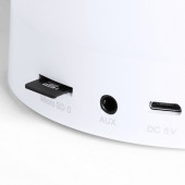 Branson LED Speaker 