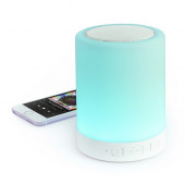 Branson LED Speaker