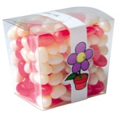 Corporate Colour Jelly Beans In Clear Mini Noodle Box