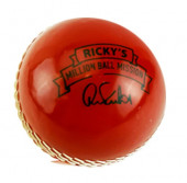 Cricket Balls Polysoft