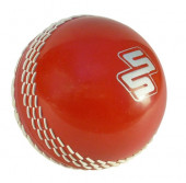 Cricket Balls Polysoft 