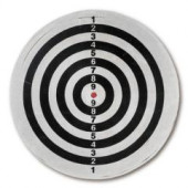 Dartboard With Reverse Side 